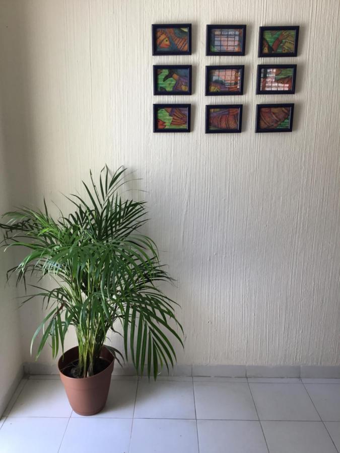 Casa Bugambilias Otel Cancun Dış mekan fotoğraf